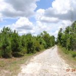 Jefferson - Burke Counties - Middleground Road 957+/- Acres