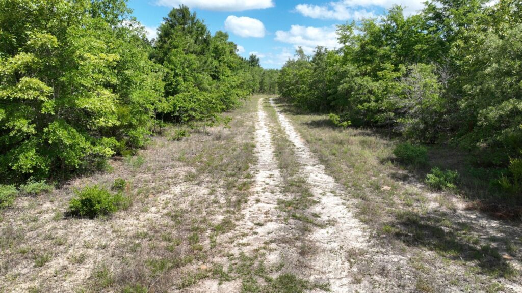 Avera – 81.45 Acres