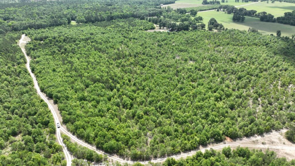 Avera – 81.45 Acres