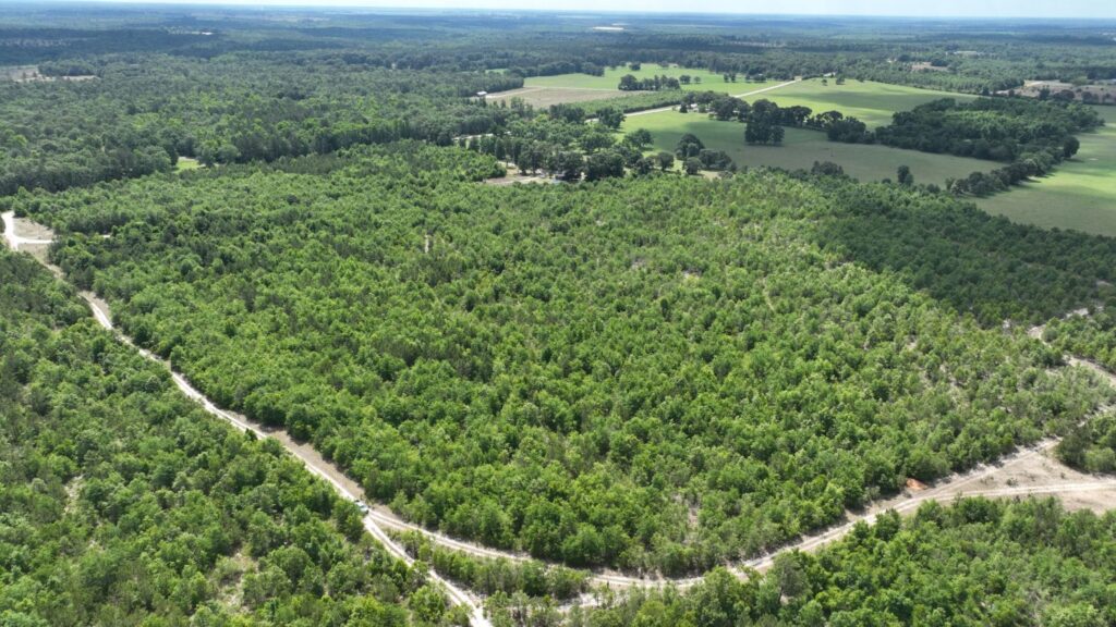 Avera – 81.45 Acres